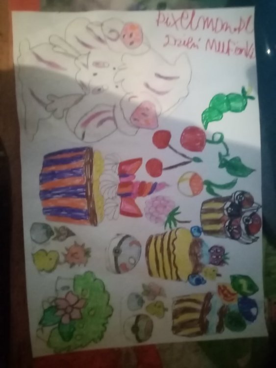 praca na konkurs (2).jpg