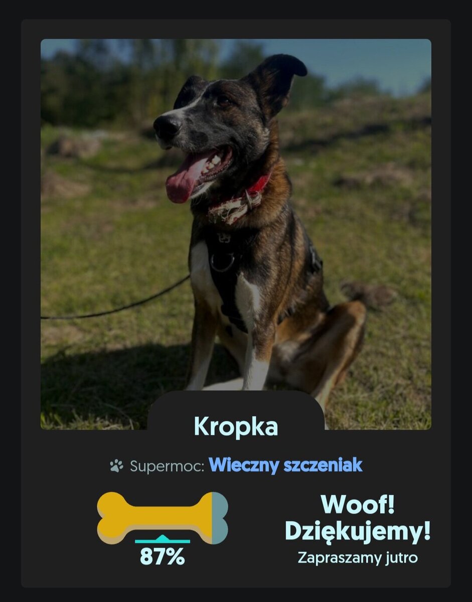 Screenshot_20241212_131232_Samsung Internet.jpg