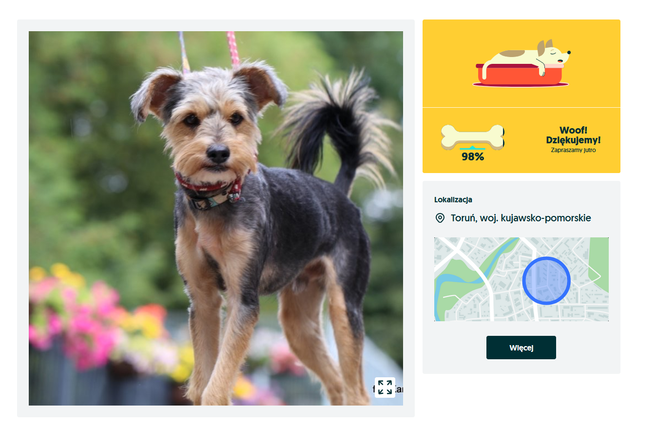 Zrzut ekranu 2025-12-13 131116.png